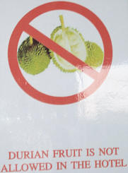 Durian=Stinkfrucht
